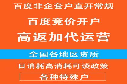 百度竞价排名服务在金融行业的推广策略